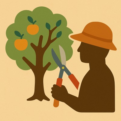 Land fördert Baumschnitt an Streuobstbäumen weiterhin – jetzt beantragen