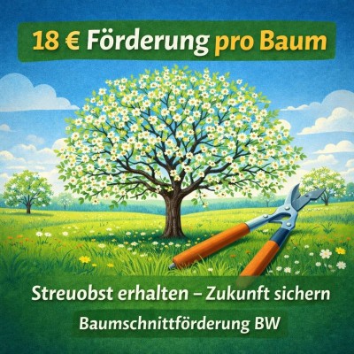 Mehr Förderung für Streuobst: 18 Euro pro Baum ab 2026