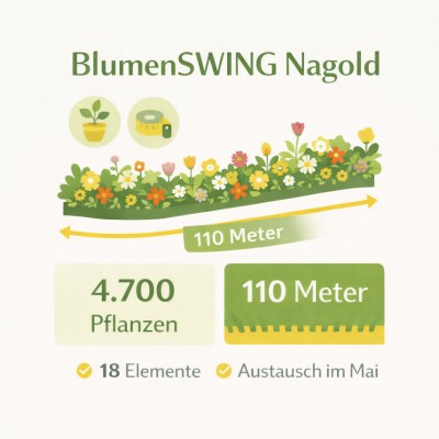 BlumenSWING Nagold: 110 Meter Blumenpracht