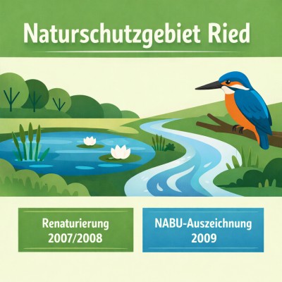 Naturschutzgebiet Ried Infografik